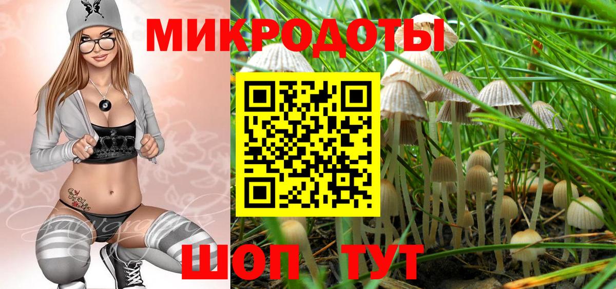 Галлюциногенные грибы Psilocybe  Вход с VPN  Губкинский 