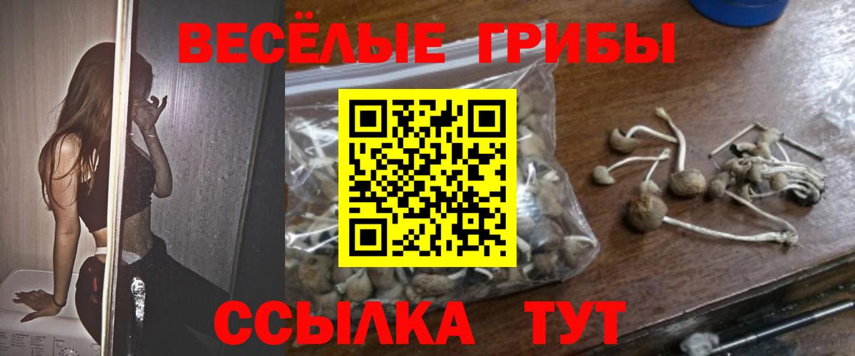 Псилоцибиновые грибы Magic Shrooms Губкинский
